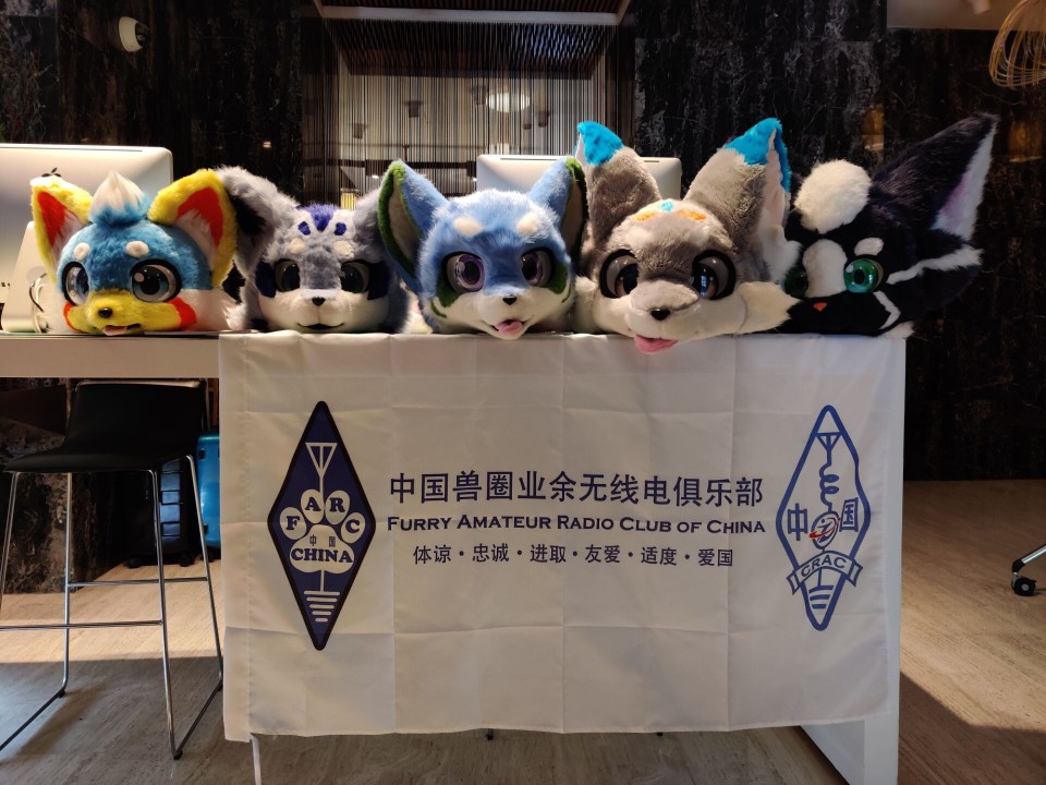 Five fursuit heads laid upon a flag of the Furry Amateur Radio Club of
China