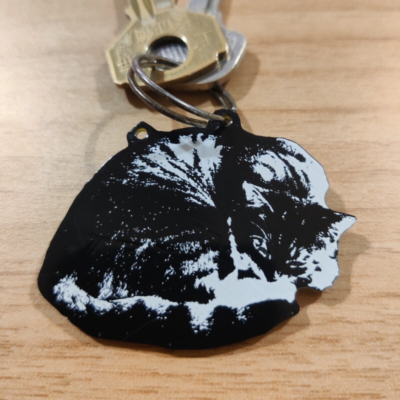 PCB and two keys on a keyring
