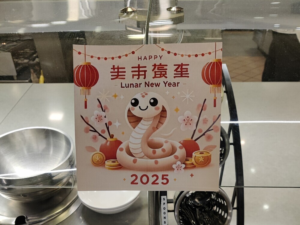 Cartoon snake in front of lanterns and gold coins, with the English text
"happy 2025" and gibberish Chinese text