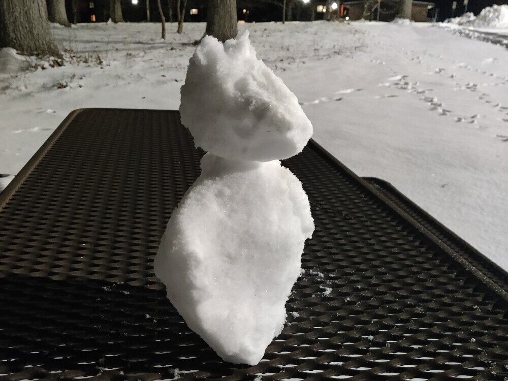 Bust of creature with pointy snout and ears made of snow on
a tabletop