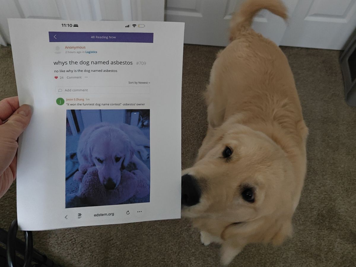 Me showing a printed copy of this question to Asbestos, sniffing
it