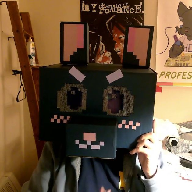 Minecraft-style cat head made from cardboard box